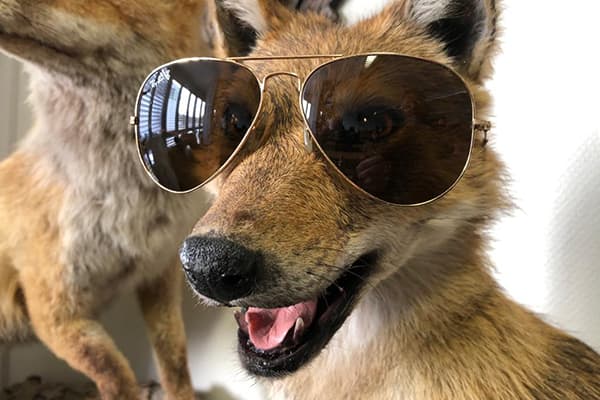 Bild 4 der Jagdschule Jagdzentrum Waidmanufaktur