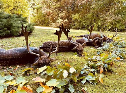 Bild 2 der Jagdschule Jagdzentrum Waidmanufaktur