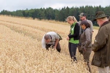 Bild 6 der Jagdschule Landesjagdschule Dornsberg