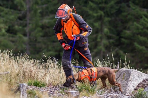 Bild 5 der Jagdschule Landesjagdschule Dornsberg