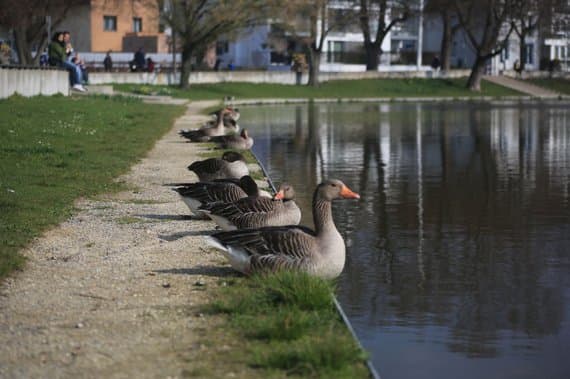 Bild 1 der Jagdschule Landesjagdschule Dornsberg