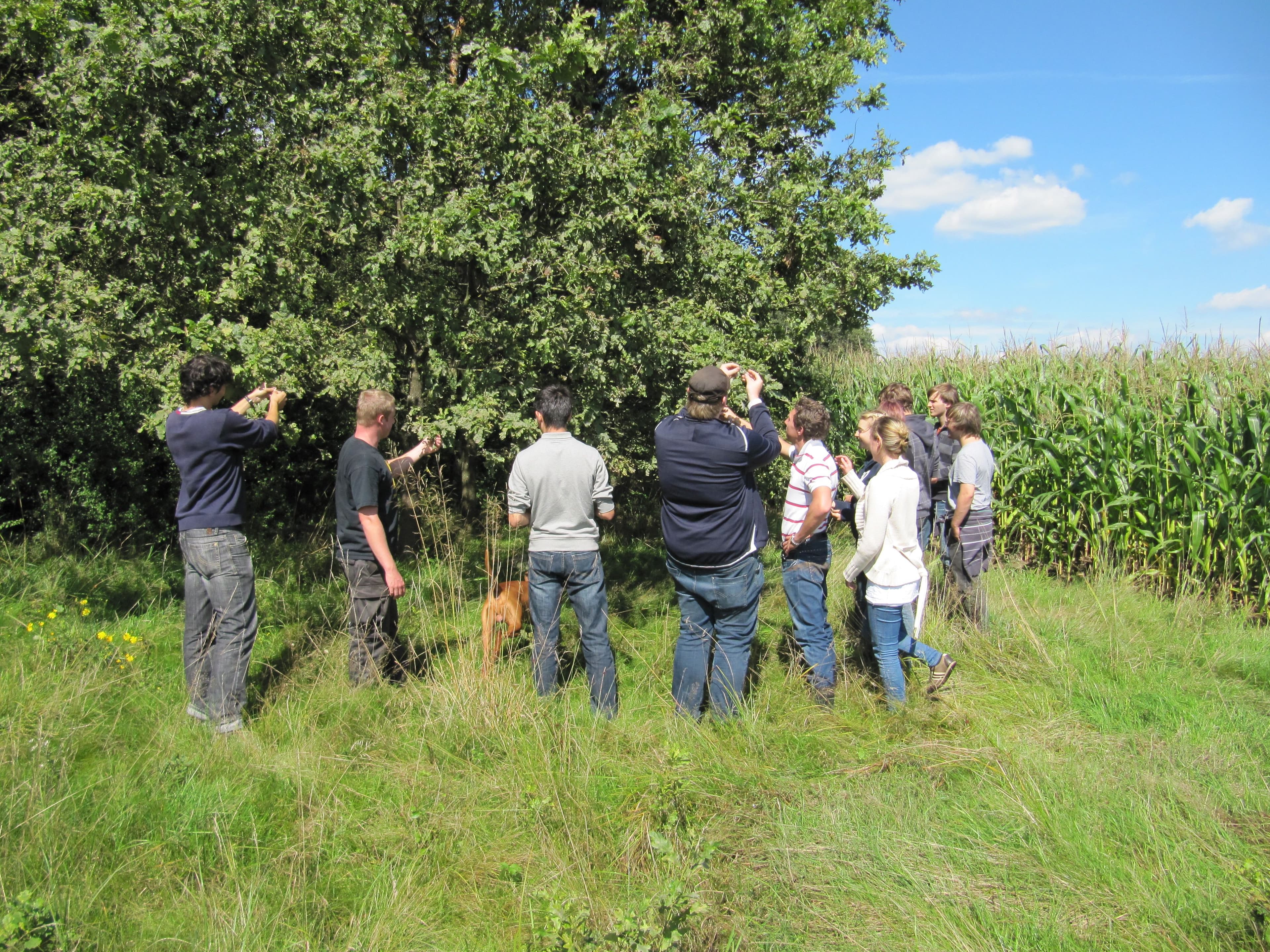 Bild 6 der Jagdschule Jagdschule Frankenland