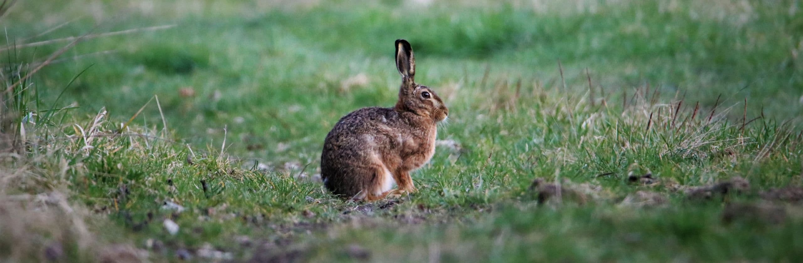 Bild 5 der Jagdschule Jagdschule Frankenland