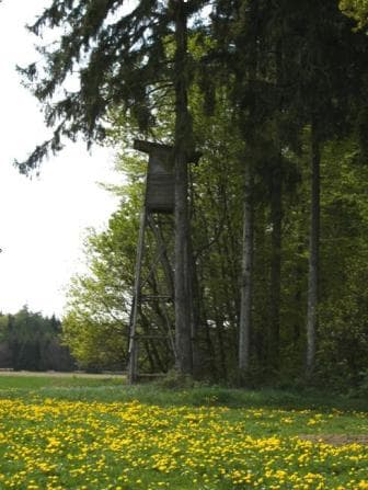 Bild 1 der Jagdschule Jagdschule der Jägervereinigung Augsburg e.V.