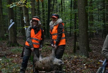 Bild 2 der Jagdschule Jagdschule der Jägervereinigung Augsburg e.V.