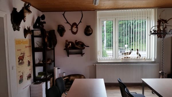 Bild 4 der Jagdschule Jagdschule Westsachsen