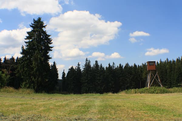 Bild 1 der Jagdschule Jagdschule Westsachsen