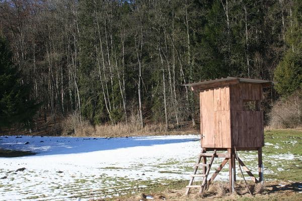 Bild 1 der Jagdschule Jagdschule Sageder